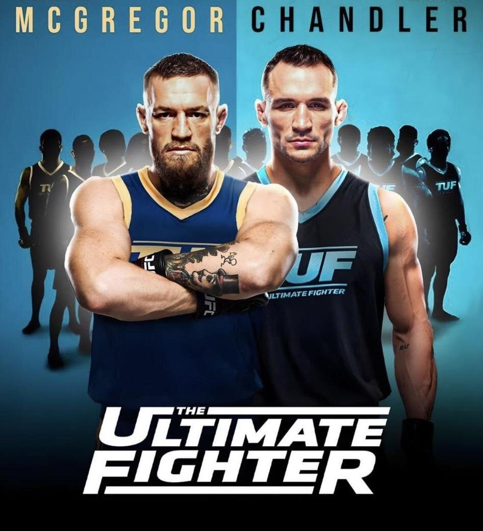     The Ultimate Fighter 31