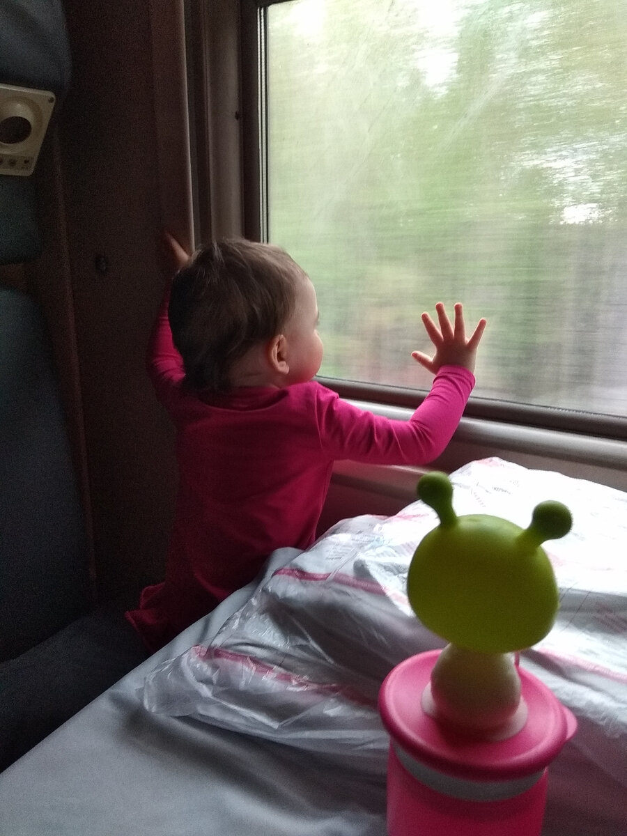 Мы в самом начале пути: Сашу очень впечатлили быстро проносящиеся пейзажи за окном