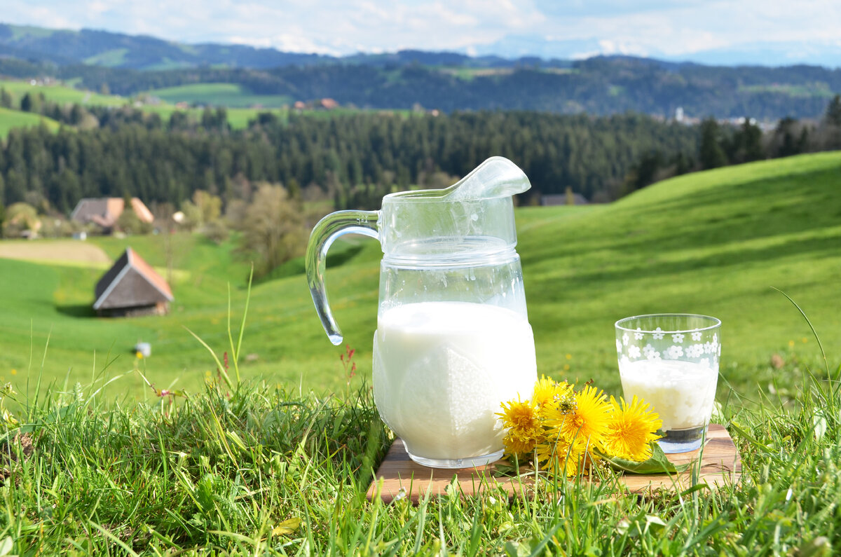 Фото: http://s1.1zoom.ru/big3/44/Milk_Dandelions_Grasslands_Jug_container_Highball_563925_5000x3311.jpg