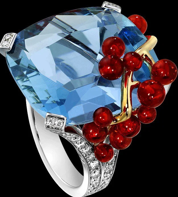    ,   13    .   Piaget 