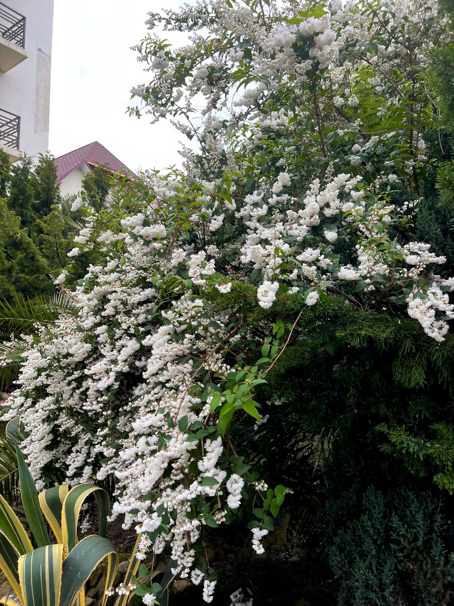 фото из архива автора