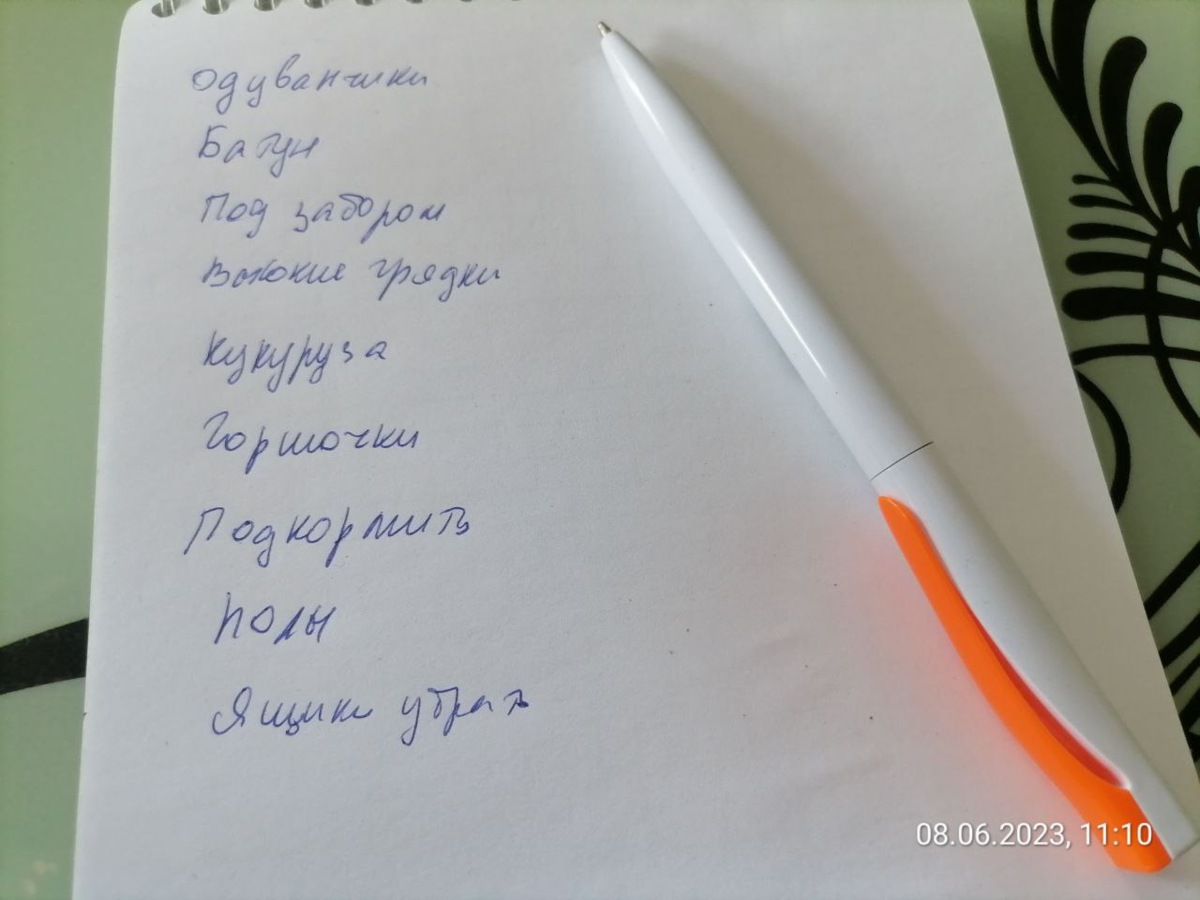 Что делать, если ничего не успеваю на даче/участке | уДачный проект | Дзен