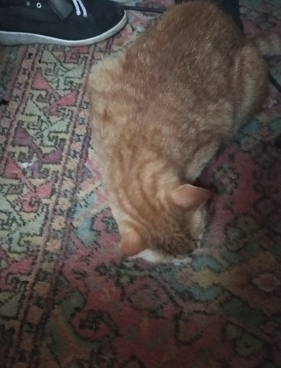 Личное  фото