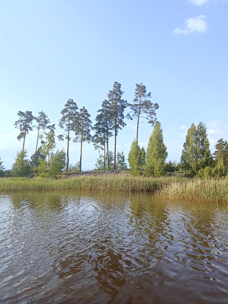 Красота природы