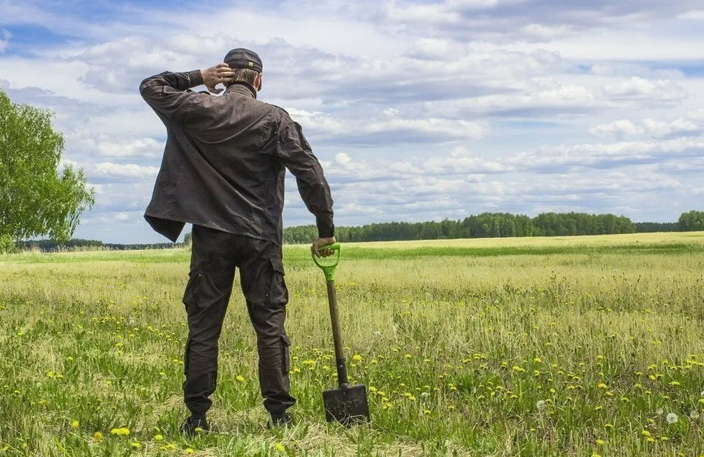 Законом установлены ограничения для использования леса на предоставленном земельном участке