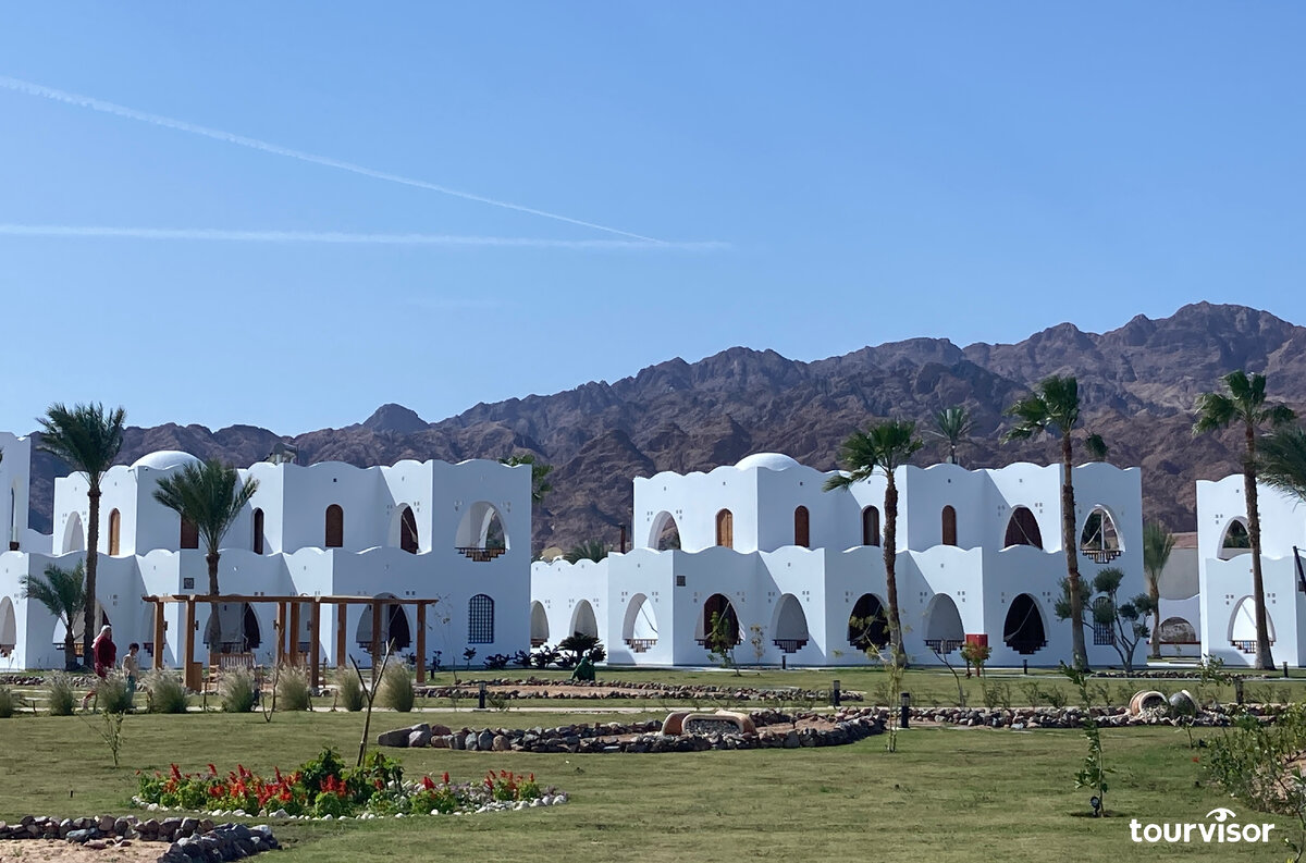 Safir dahab 5
