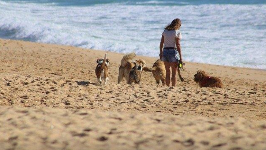 Источник: https://pixabay.com/