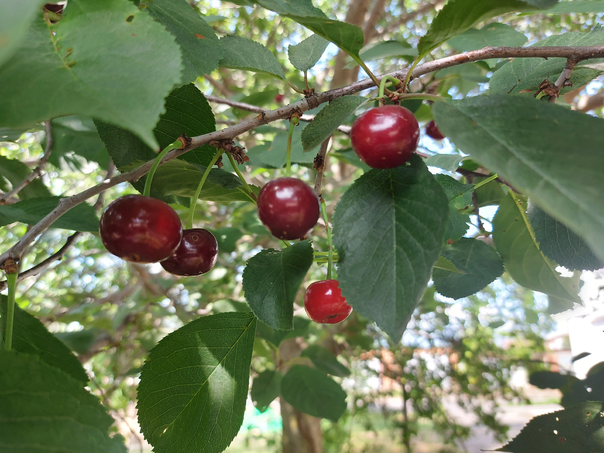 Фото автора.