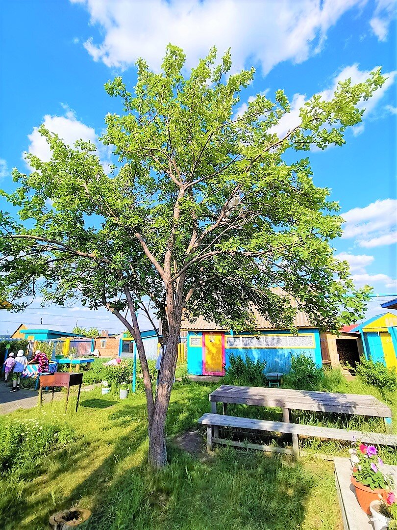 Не сразу обнаружишь тут нашу "белку".