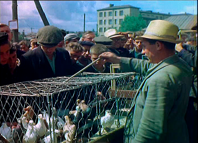 Кадр из док. фильма "Москва в цвете", 1956 г.