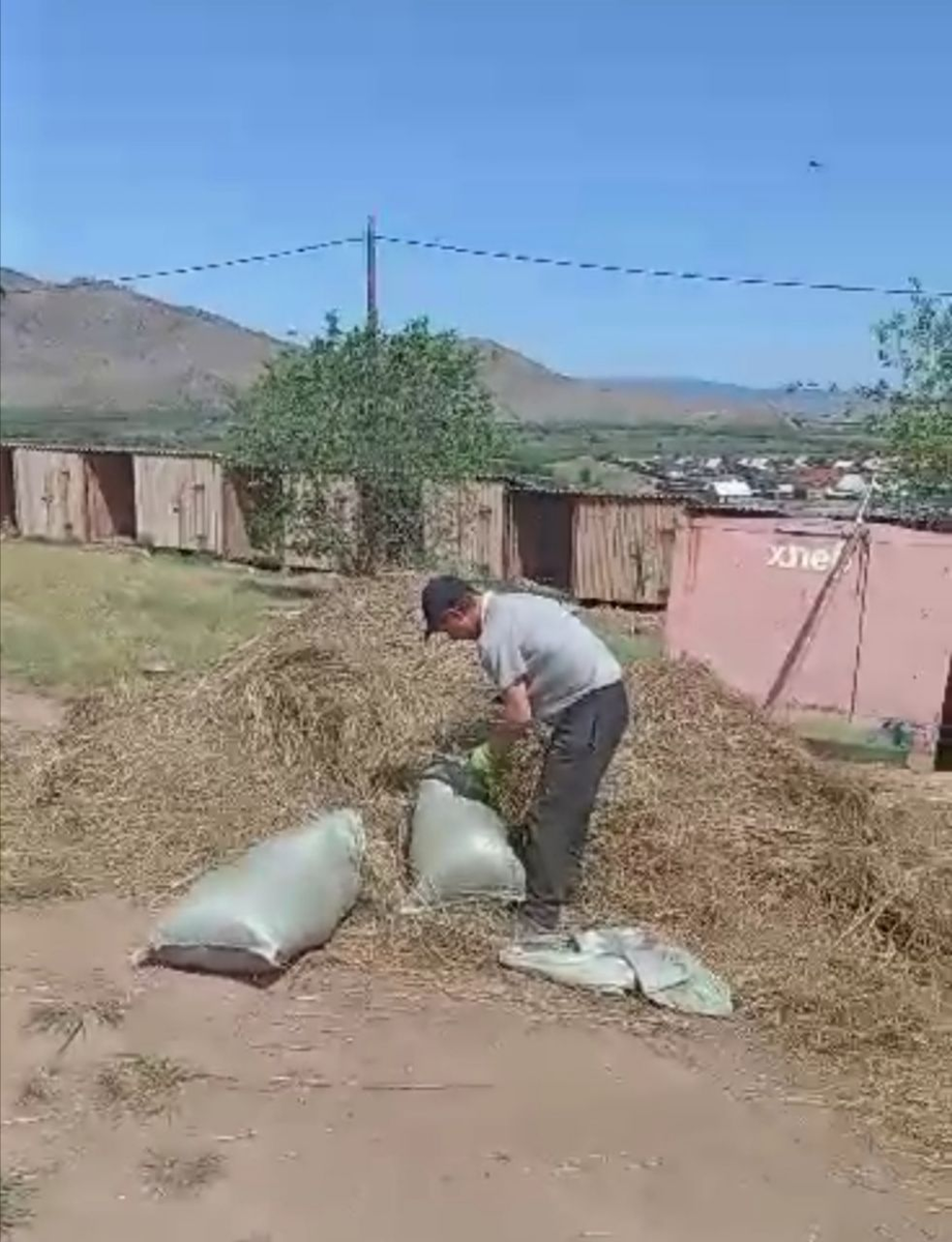 В приюте вся работа нужная и важная