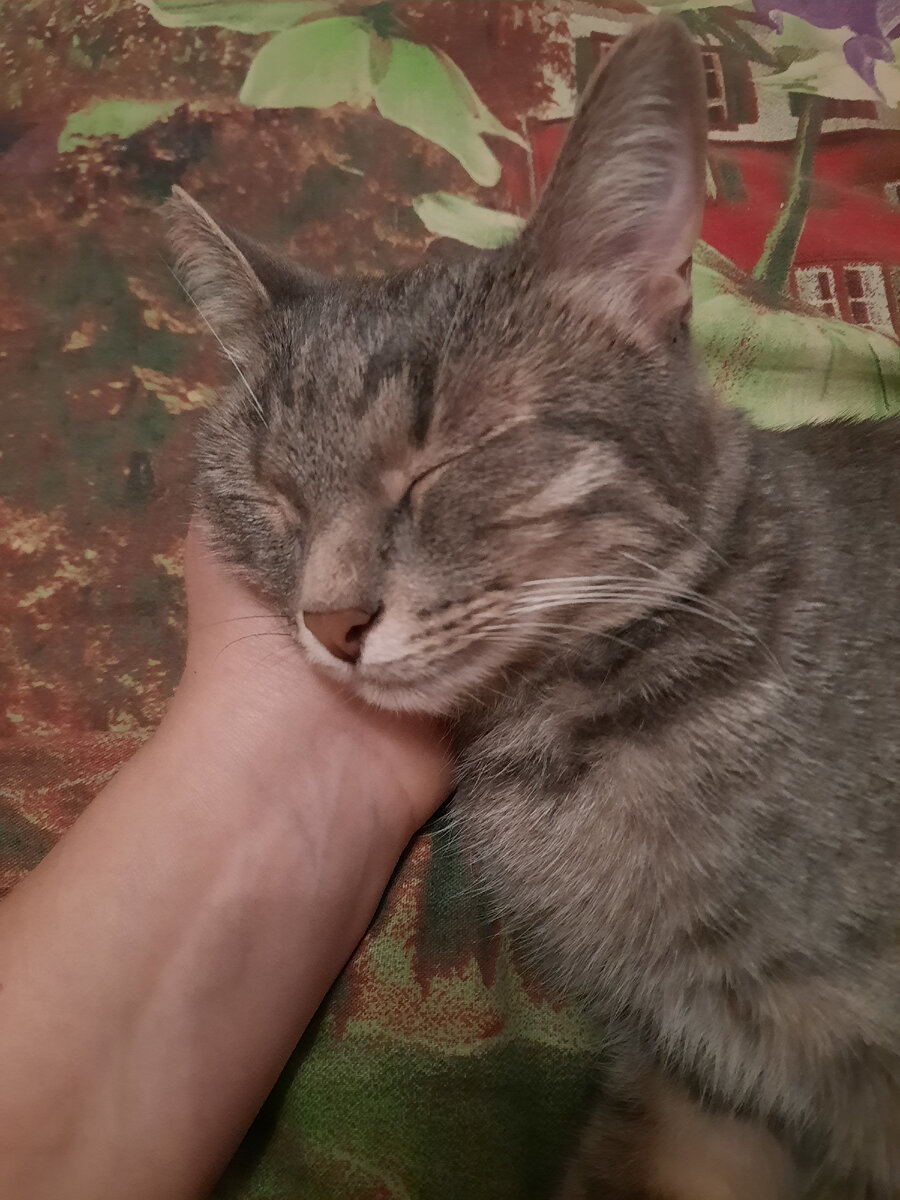 Моя Буся❤️