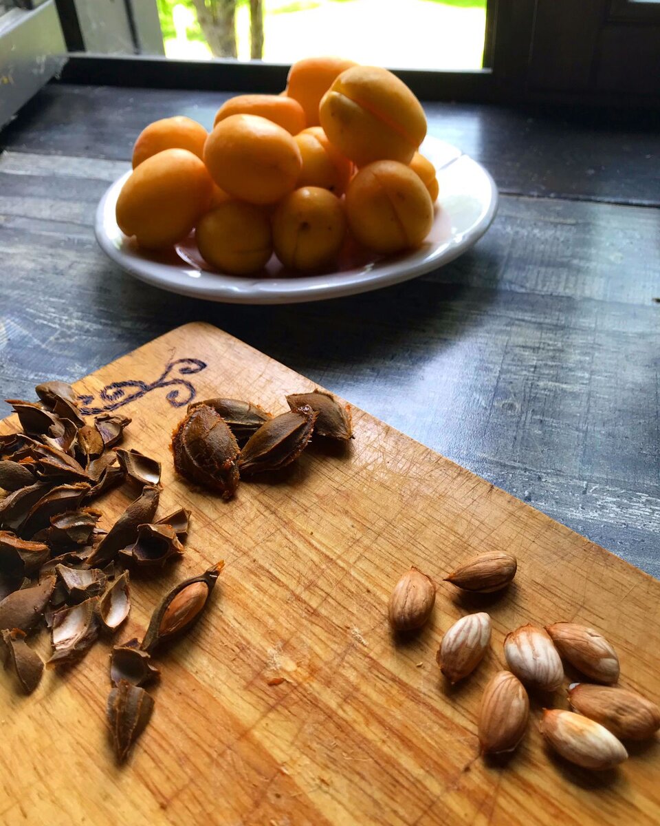 Извлечение ядр из косточек абрикоса 