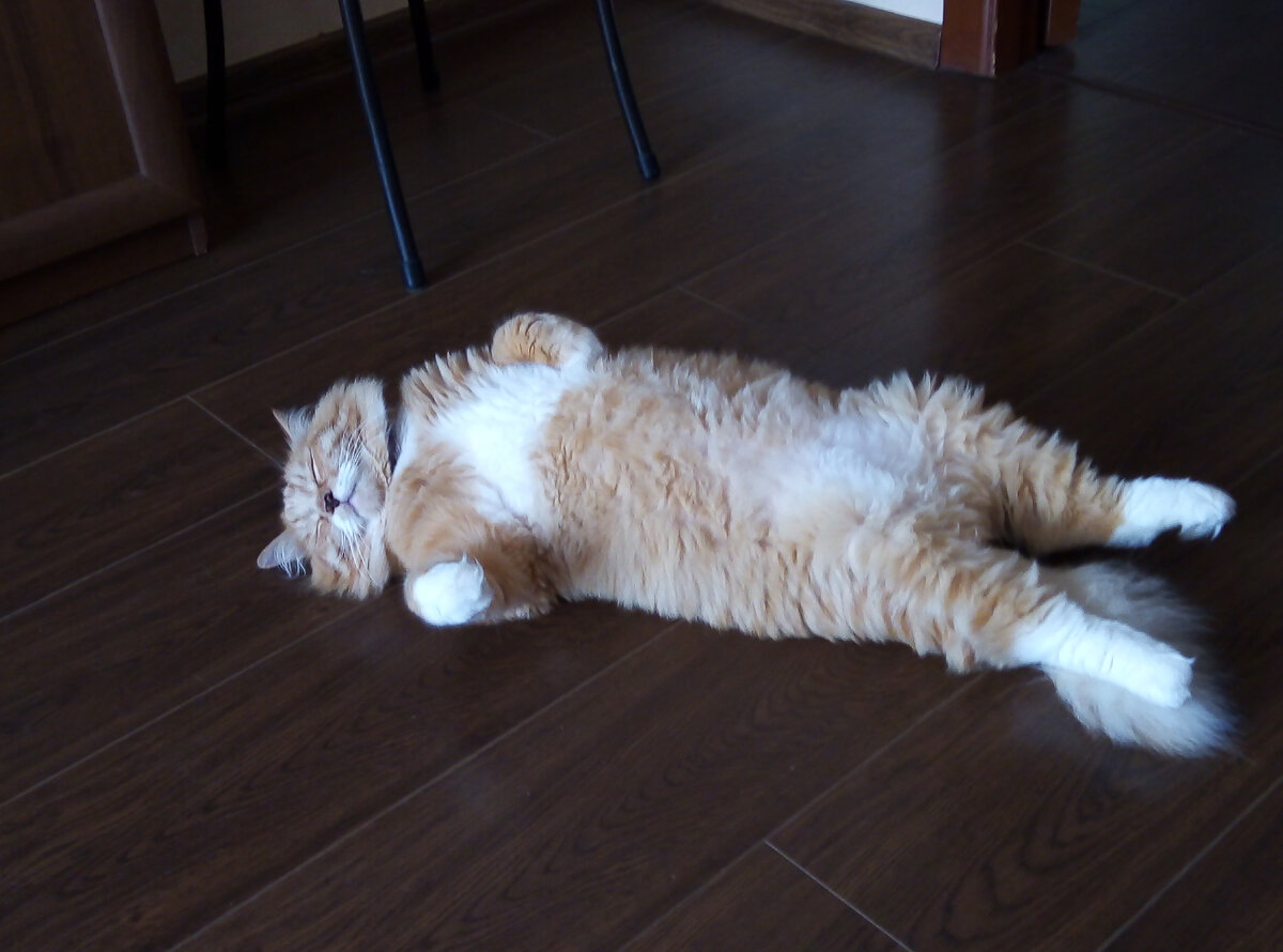 Фото из личного архива автора. 