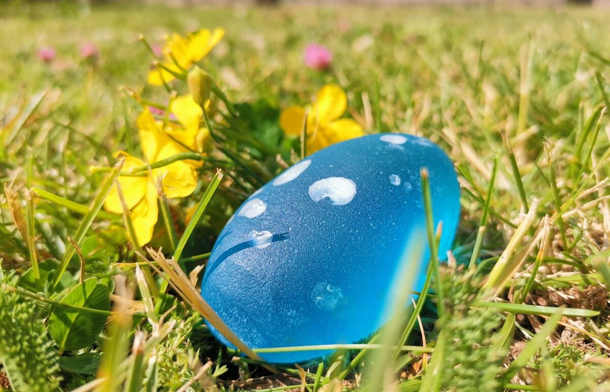 Как вы думаете, что это за камень? Я нашла его в лесу... Как будто кусочек неба упал) 