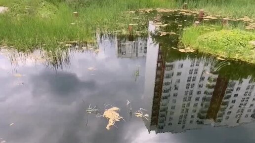 ОСУШЕНИЕ.РФ - компания лидер 🥇 на рынке услуг строительного ...