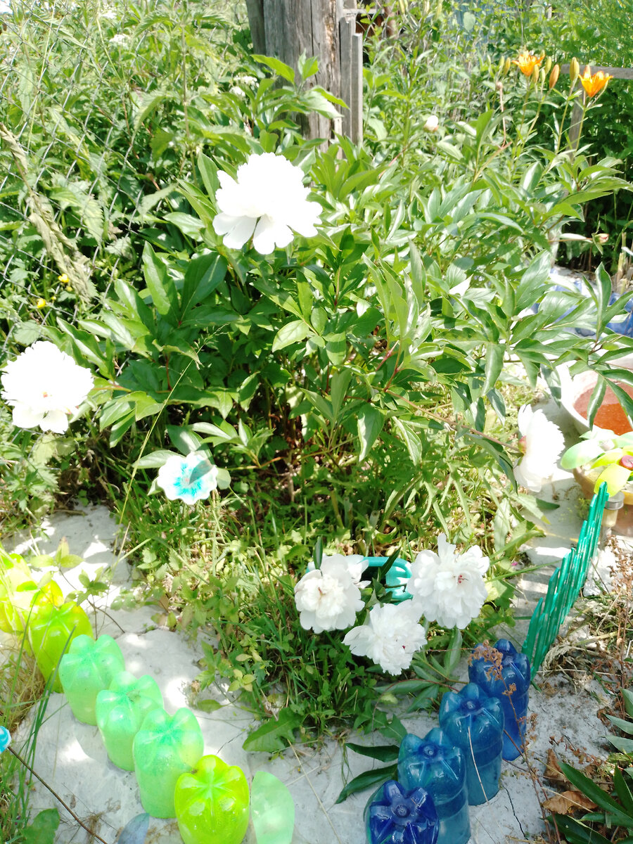 Около дома🌸