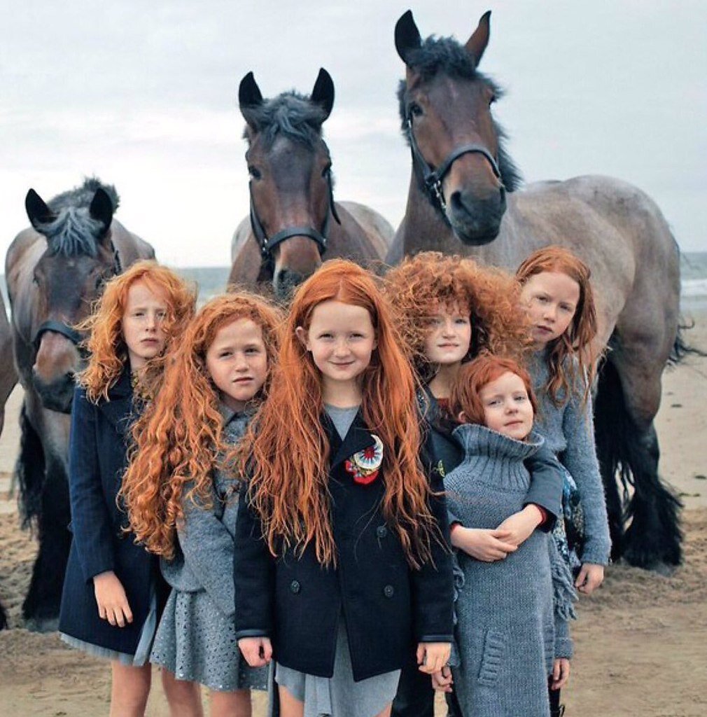 Народ Ирландии имеет свой нрав.