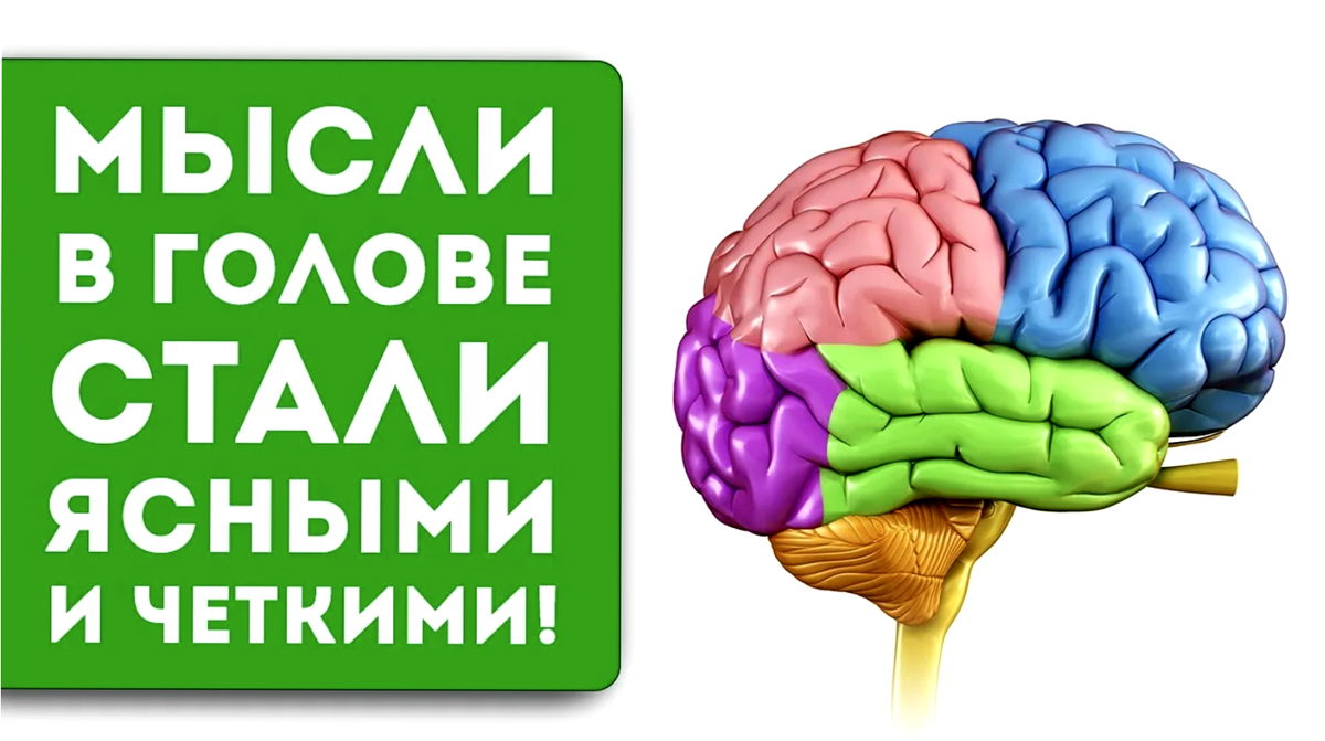 Упражнения для мозгов видео. Упражнения для мозга. Нейро упражнения для развития мозга. 9 Упражнений для развития мозга. Когнитивные упражнения для мозга для детей