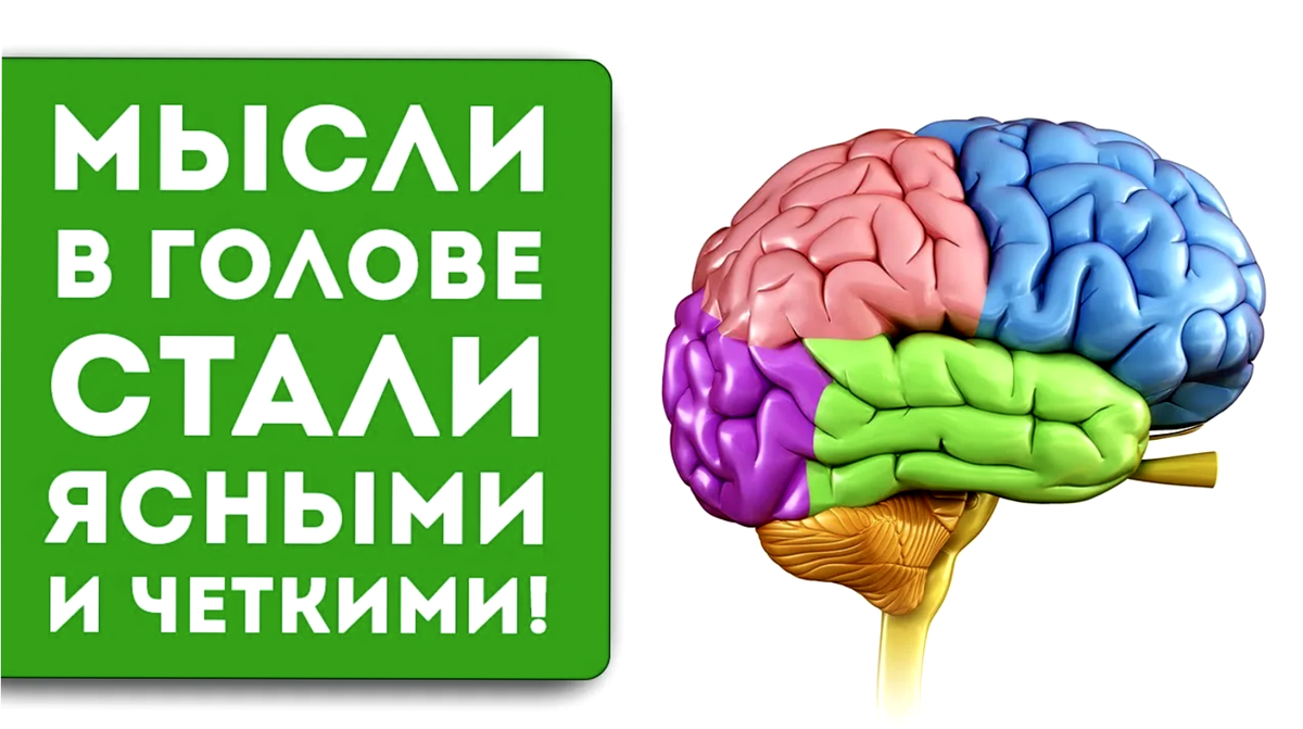 Упражнения для мозга. Занятия для развития мозга. Упражнения для развития мозга. Нейрогимнастика упражнения для мозга. Упражнения развивающие мозг