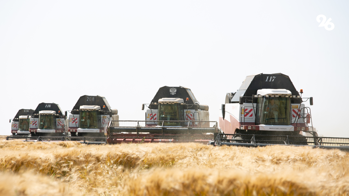 Фото: Валерия Алтухова / ИА «Победа26»