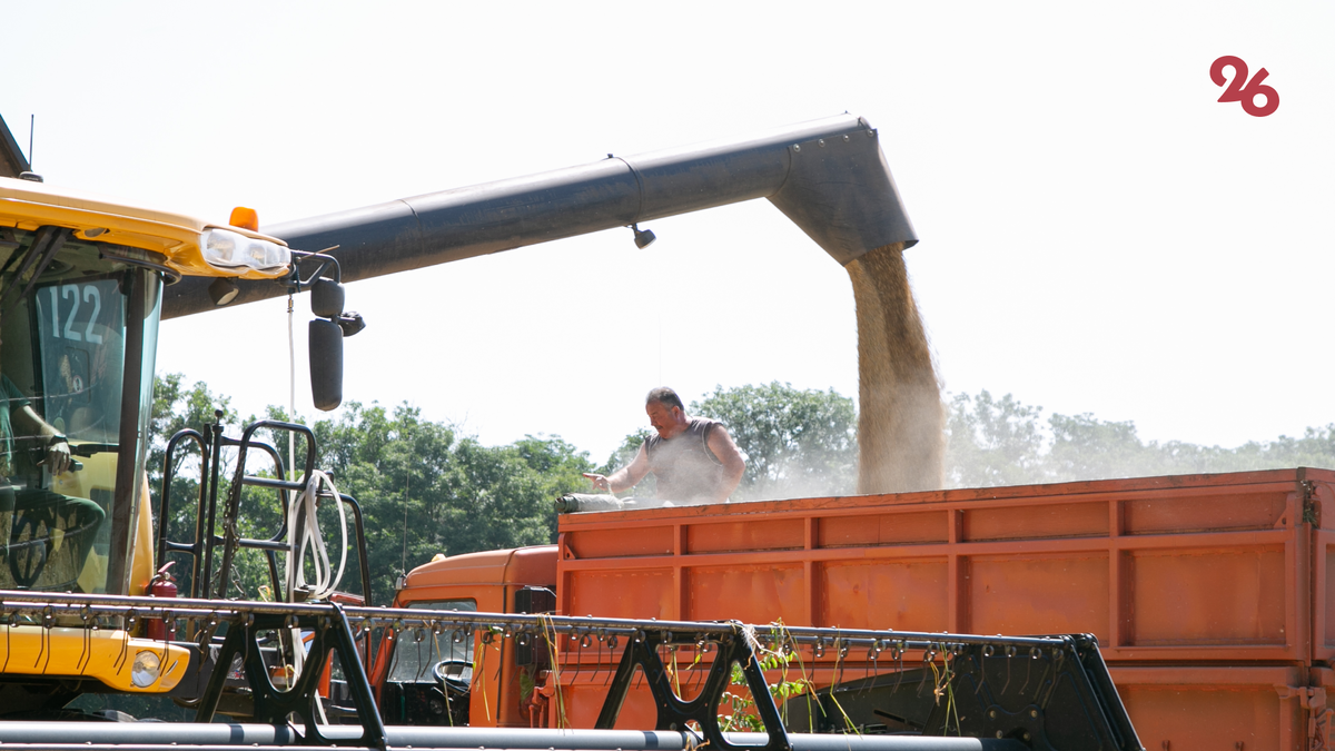 Фото: Валерия Алтухова / ИА «Победа26»