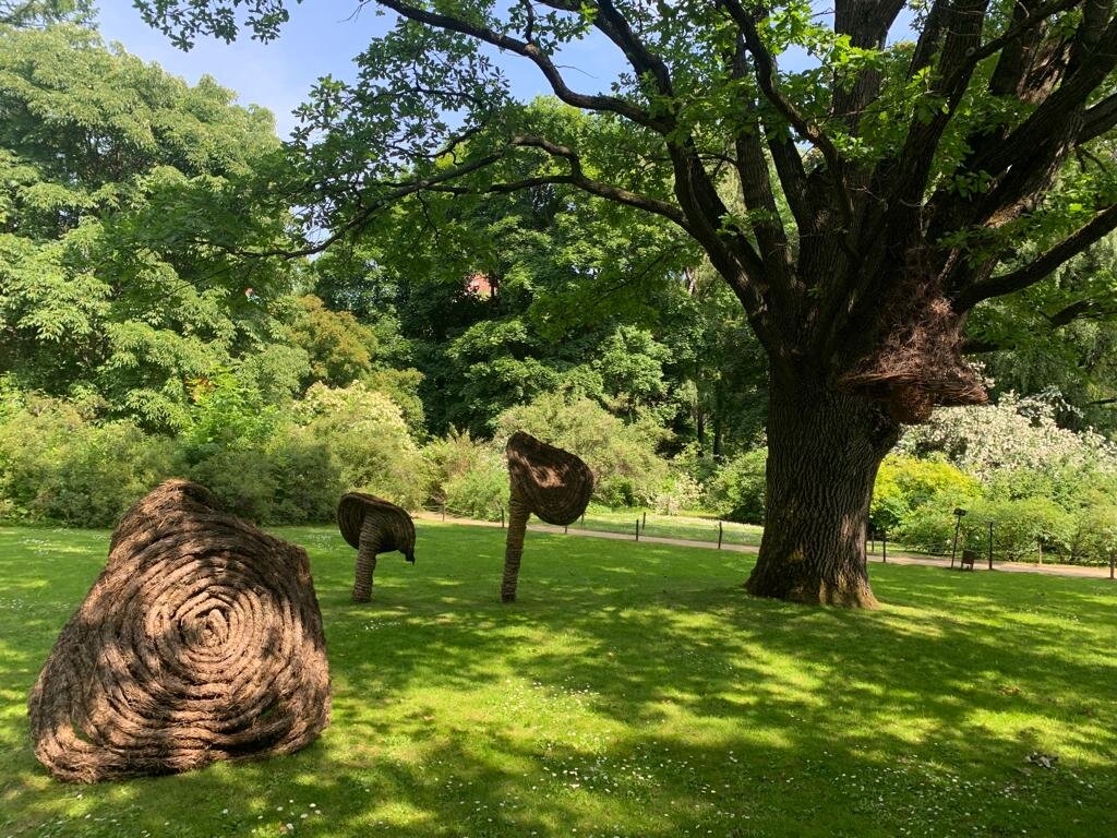 Аптекарский огород (фото автора) листайте далее