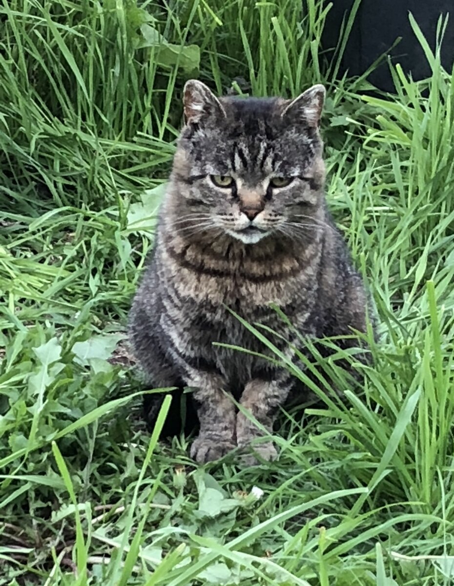 Борис собственной персоной