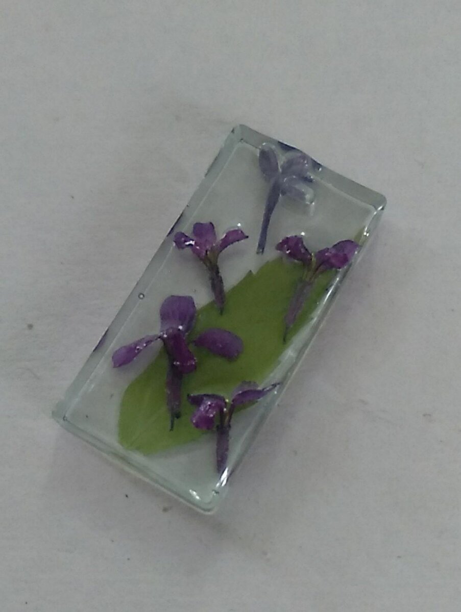 Фото автора. 