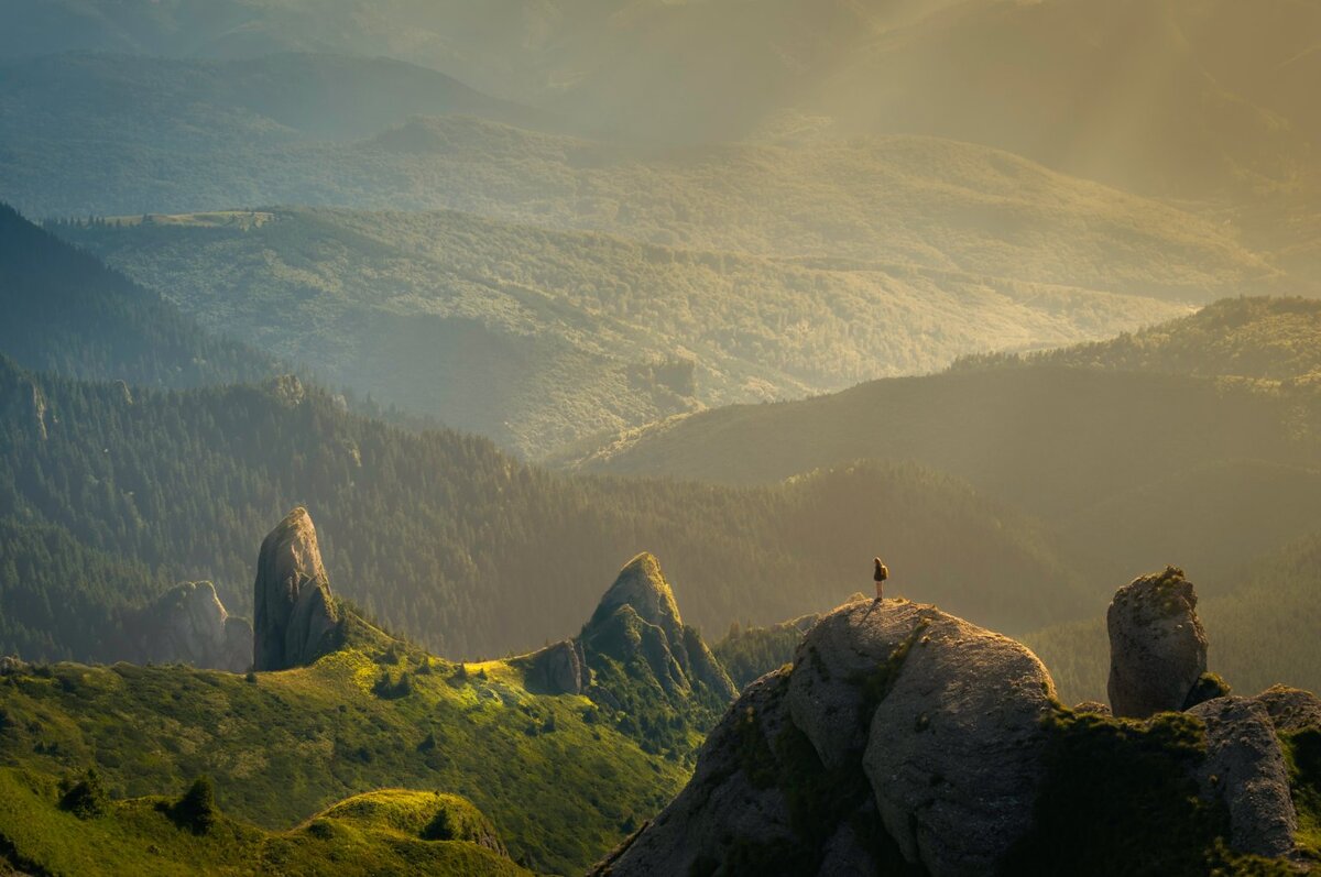    unsplash.com