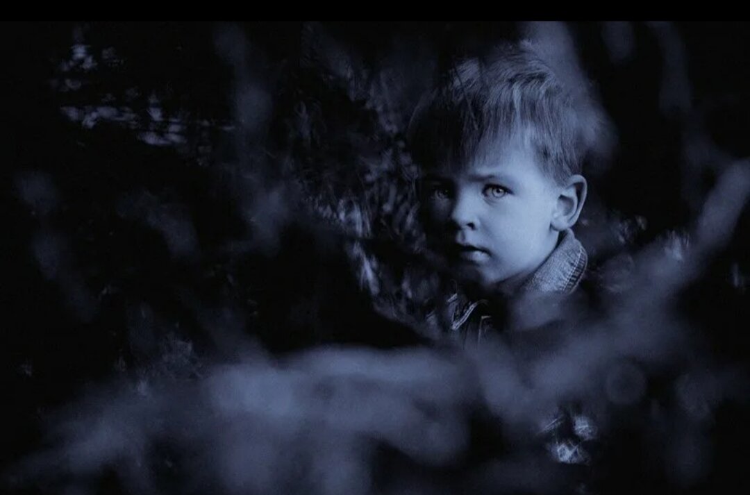 Иллюстрация из свободного доступа 