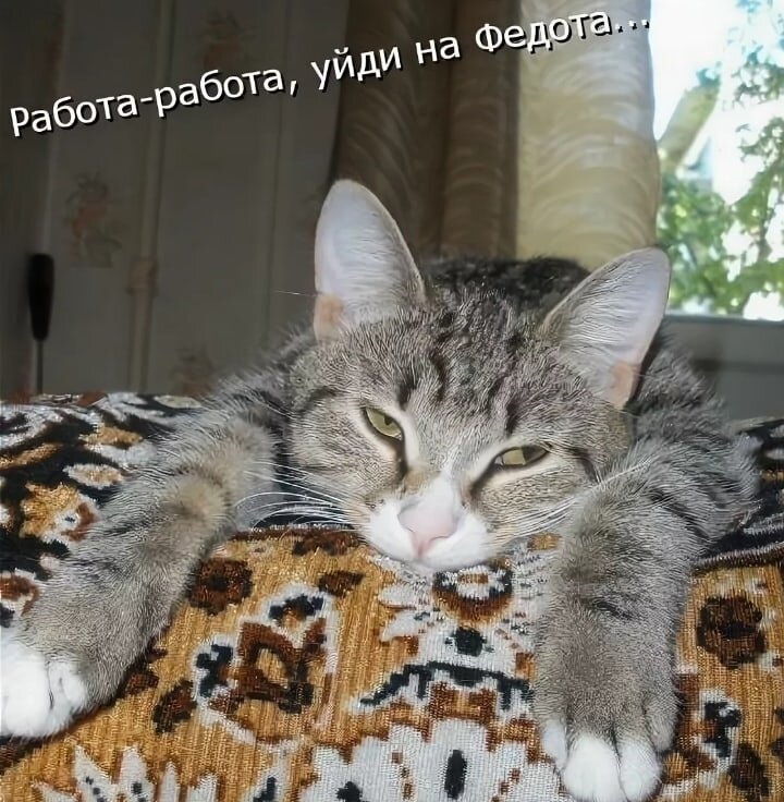 источник Яндекс-картинки