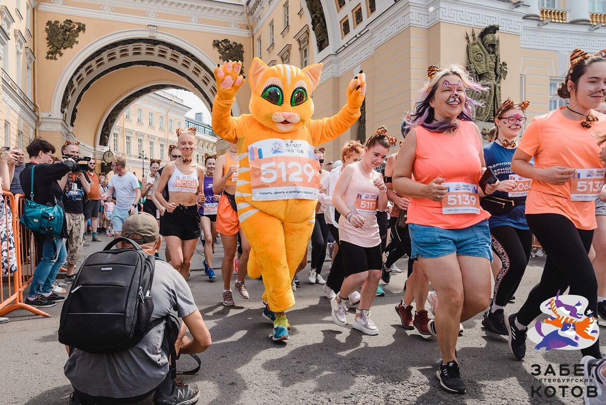 Самое позитивное мероприятие Петербурга: Забег Петербургских Котов