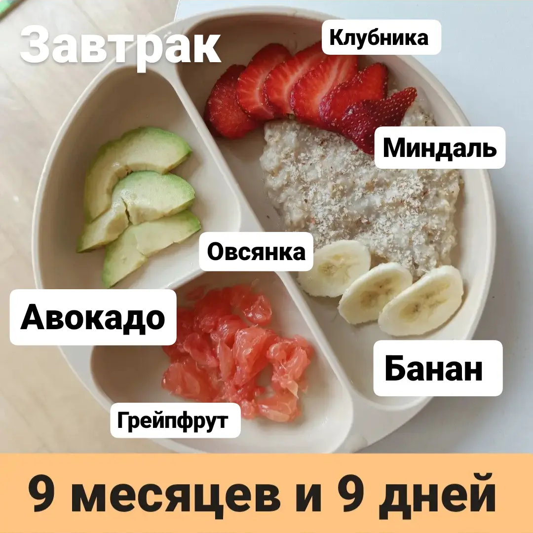 Пример тарелки в 9 месяцев 