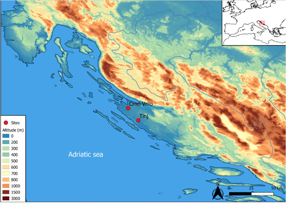   Alejandro Sierra et al. / Scientific Reports, 2023