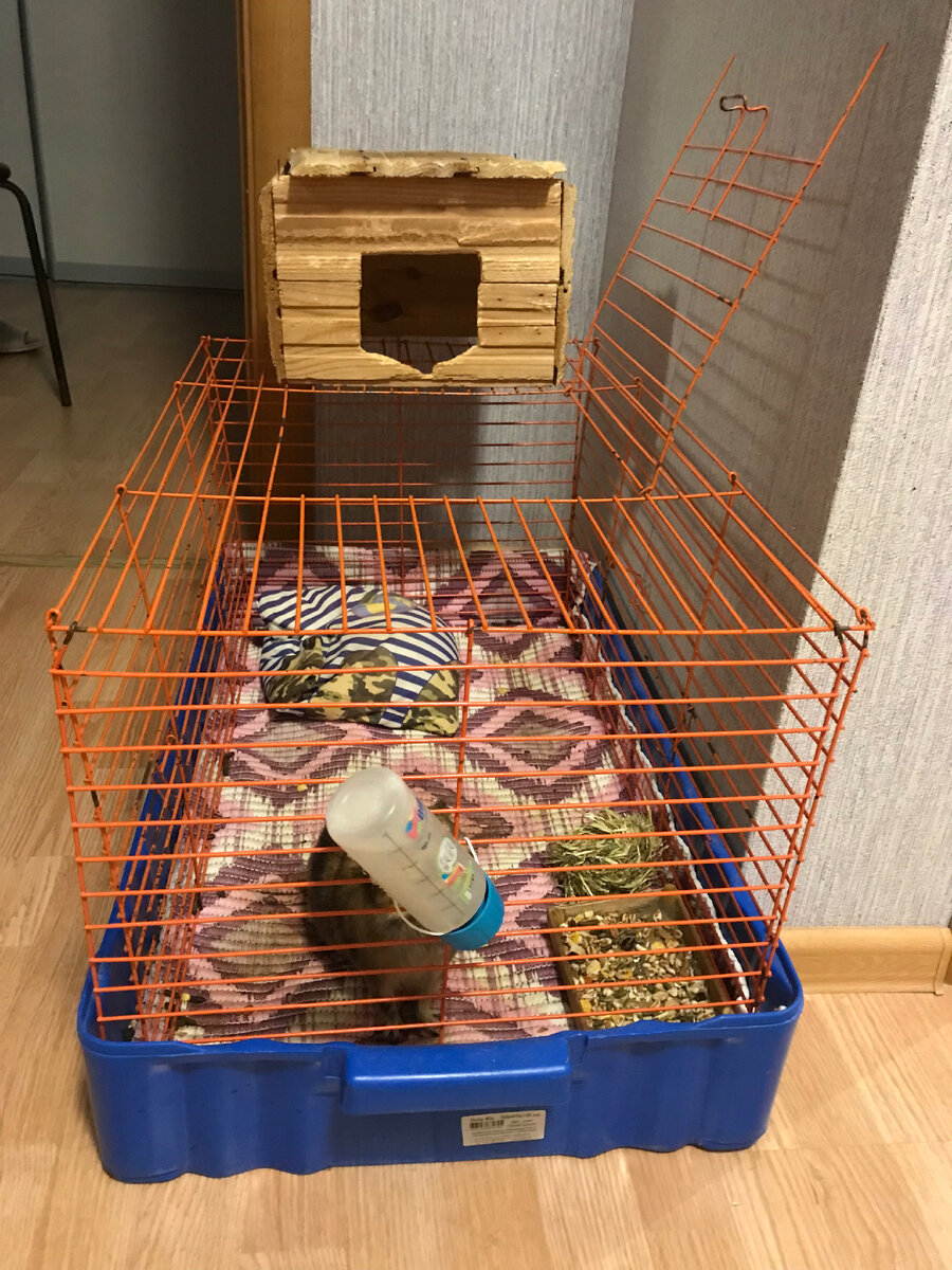 Домик вверху Рокки внизу 😁