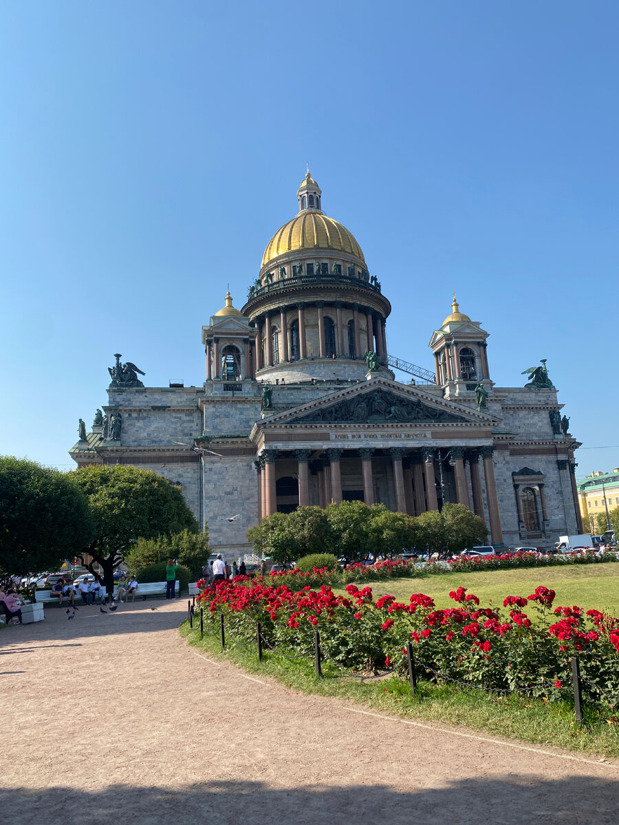 В ПИТЕР ЗА СОТКУ | Ваша Маша | Дзен