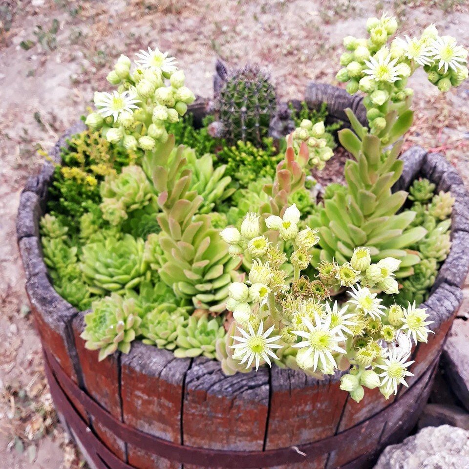    Соцсети блогера villa_rai_home