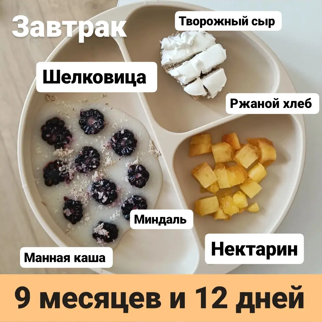 Пример тарелки в 9 месяцев 