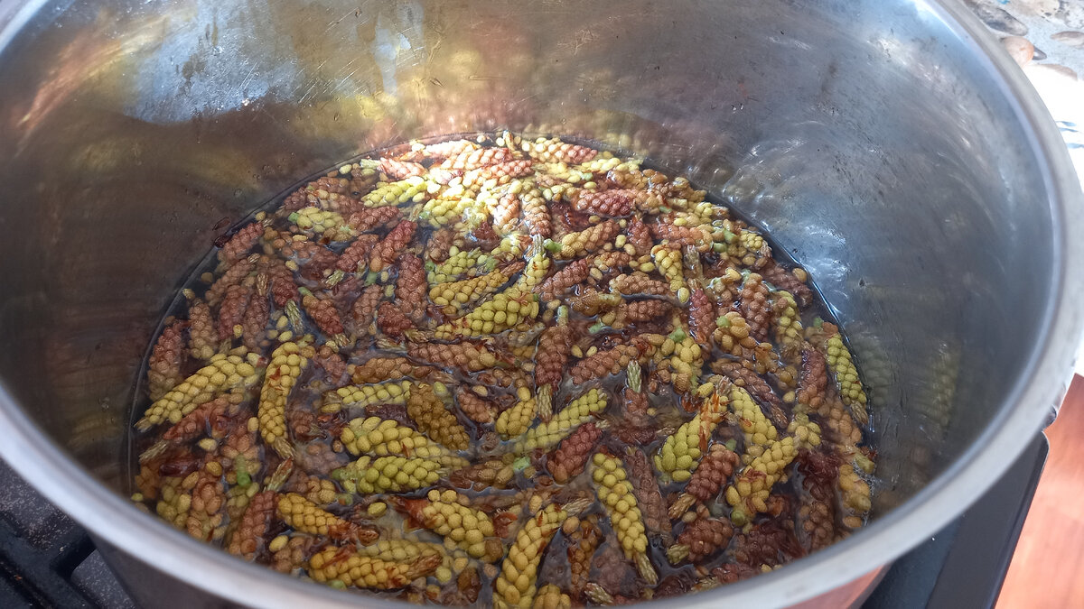 Промытые побеги