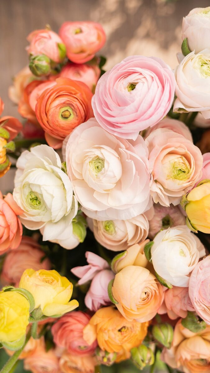 Фото из интернета