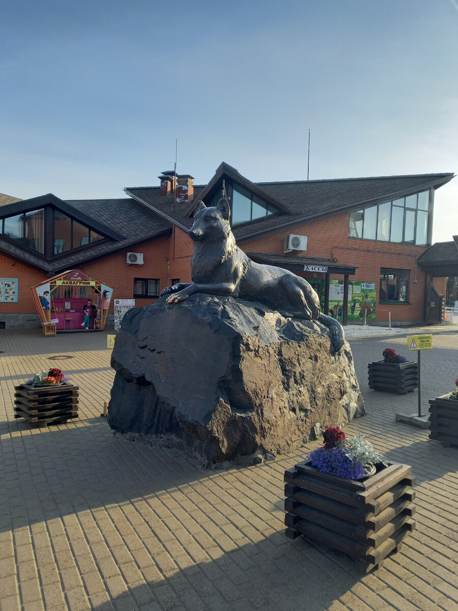 Символ Ижевского зоопарка - волк