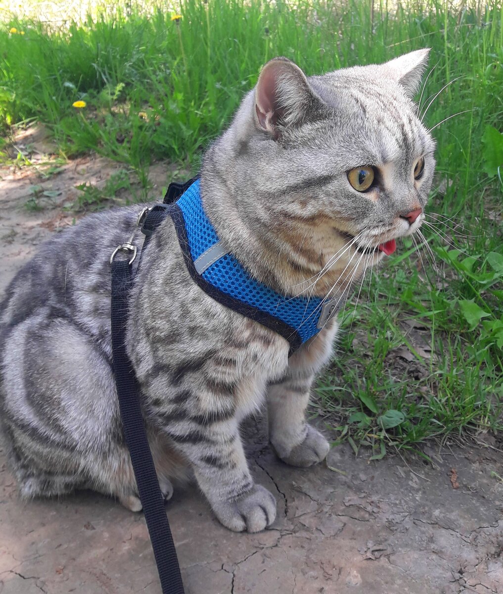 фото автора канала