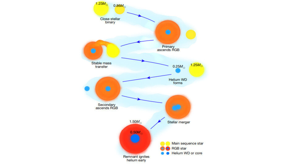   Marc Hon et al. / Nature, 2023
