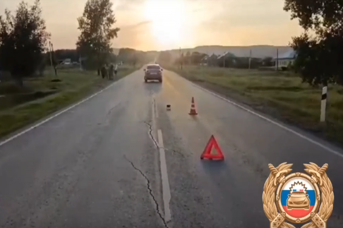    Водитель из Челябинской области насмерть сбил 2-летнего ребёнка в Башкирии