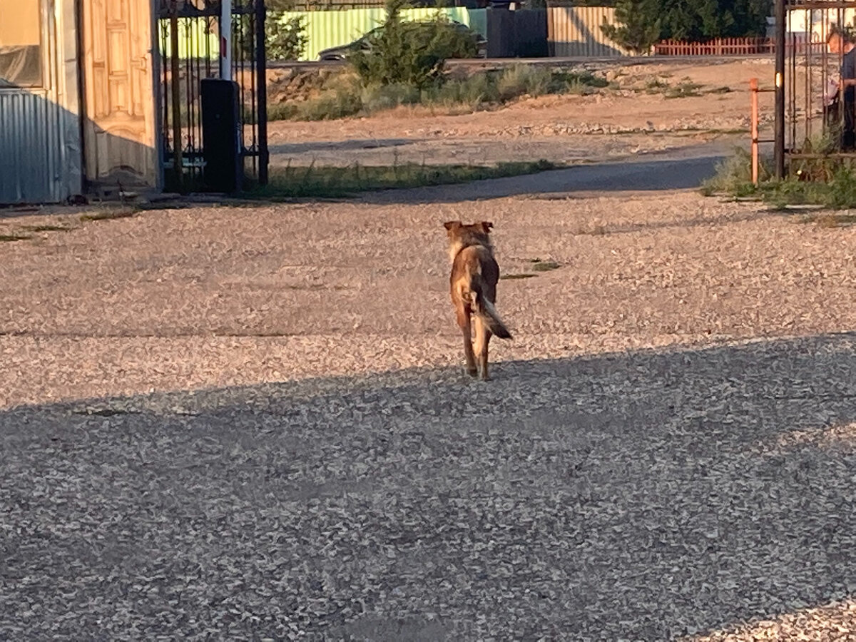 Только нам с ней по пути.