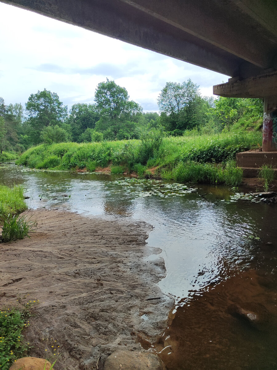 Мир как он есть 