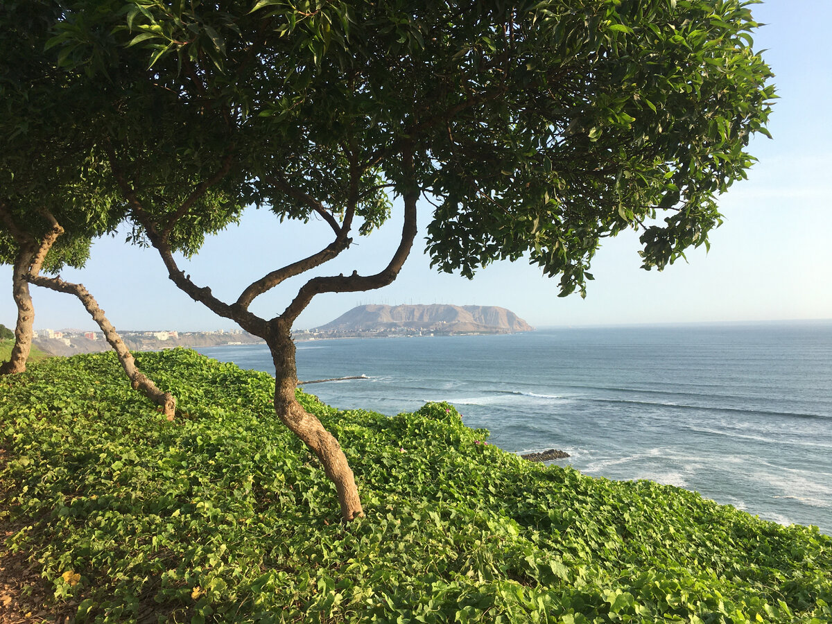 Перу, Лима, набережная, район Мирафлорес. Фото автора