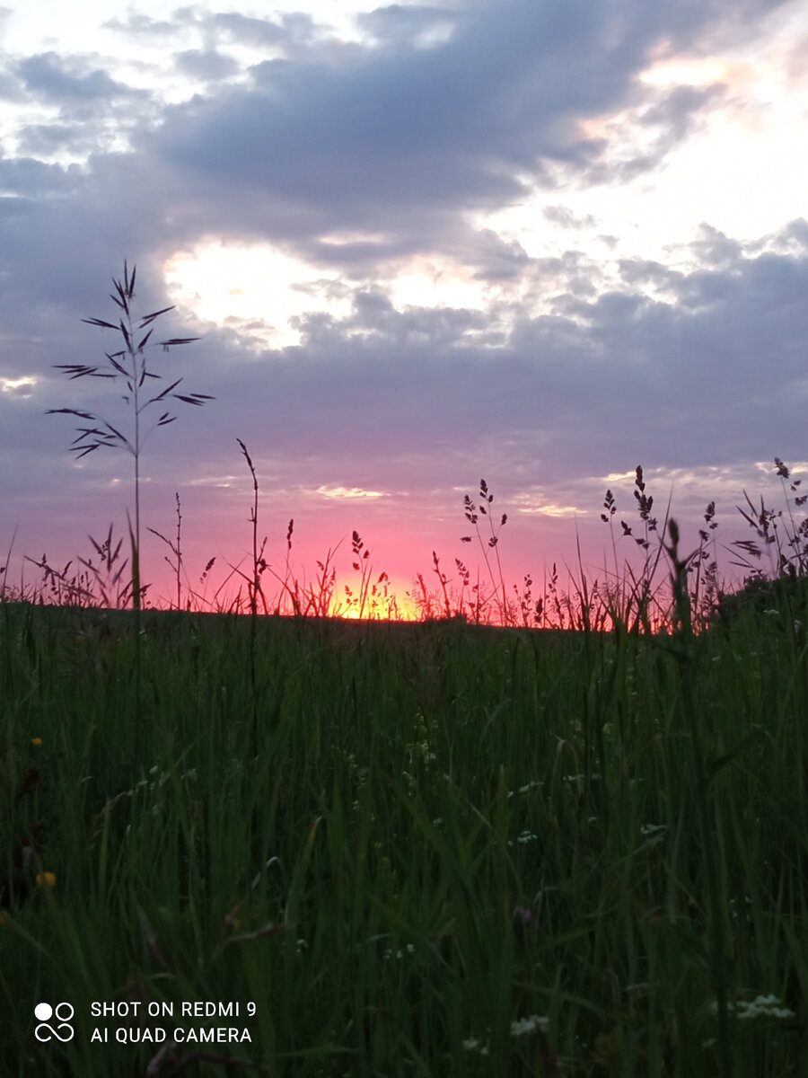 🌿❤З а к а т❤🌿