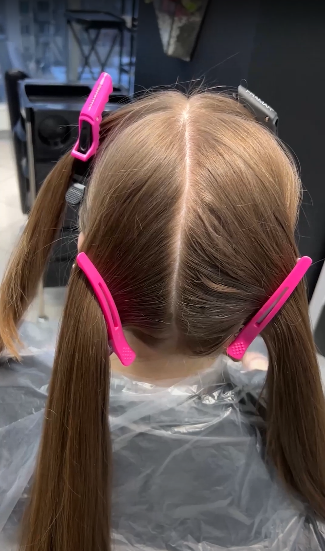 Подготовительный этап: раздел волос на 4 части